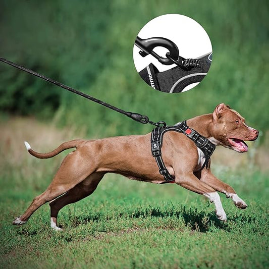 Reflective Dog Harness Vest with Leash